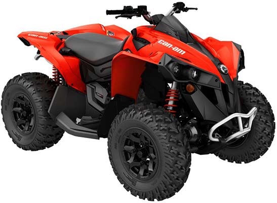 Can Am Renegade2