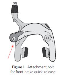 trek bolt