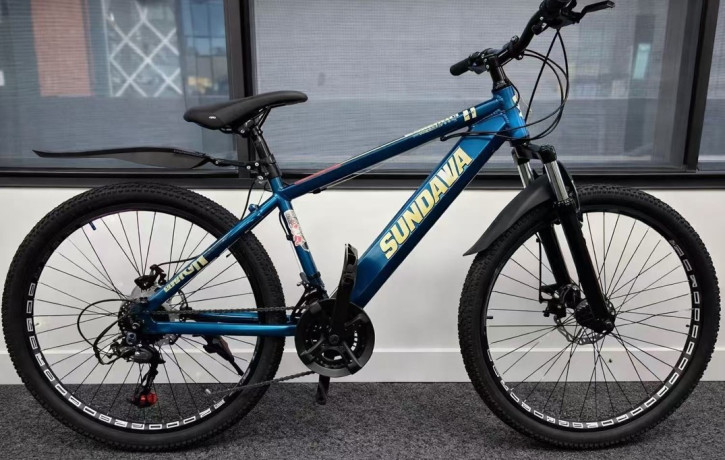 Bicycle Schwenda 24 inch Sold at Panda Mart