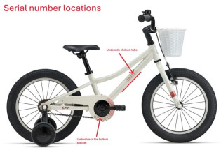 Giant Animator and Liv Adore Bicycles