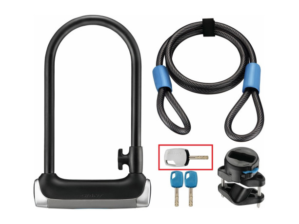 Giant Surelock Protector  1 DT