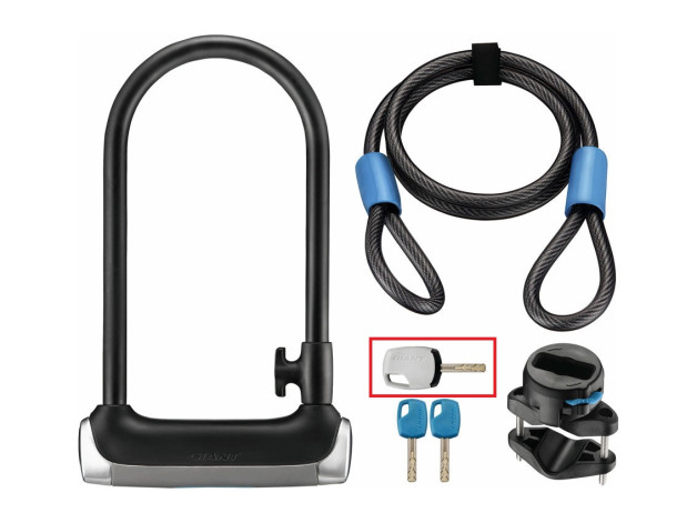 Giant Surelock Protector  1 DT