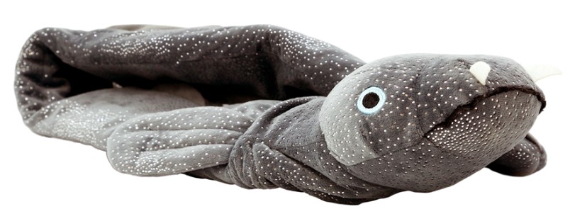 Hot Water Bottle Ellie the Longfin Eel