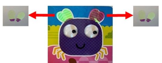 I spy a fly wings that may detach 20260908205707 (002)
