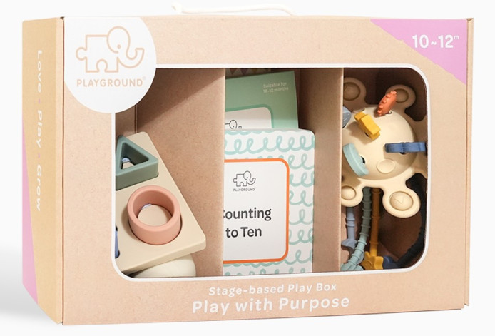 Playground Plus Box 4 Play with Purpose 10   12M